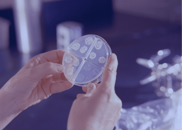 Какие анализы сдавать женщине, чтобы понять, сможет ли она забеременеть и родить?