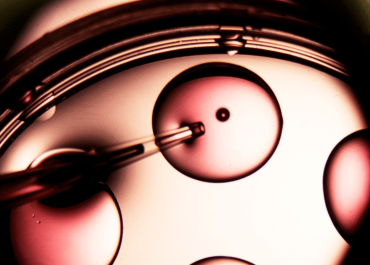 Когда назначают ЭКО? Самые частые причины.